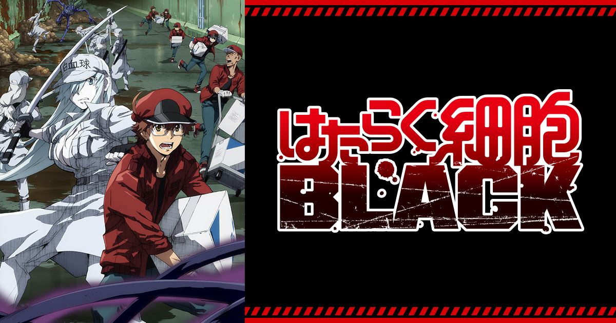 はたらく細胞black 無料動画 をアニメ1話から最終回まで見逃し配信で全話フル視聴する方法 アニメくらふと 無料動画配信まとめ